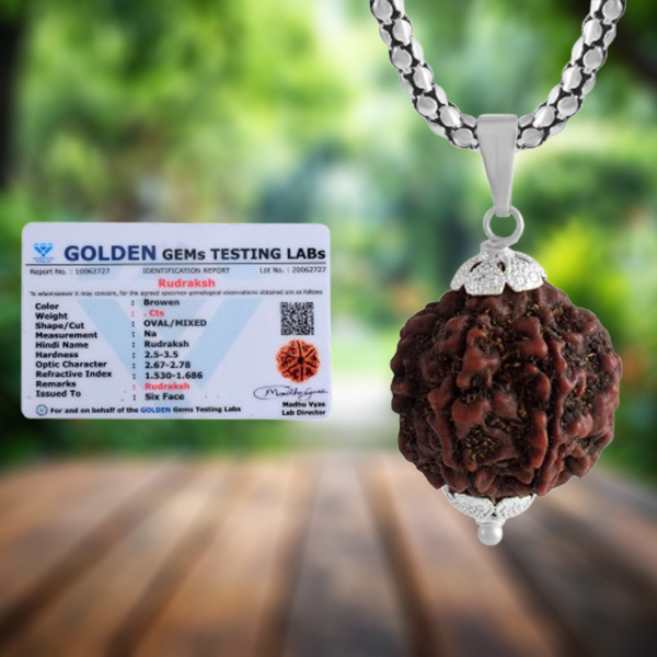 6 Mukhi Nepali Rudraksha Silver Pendant with Chain
